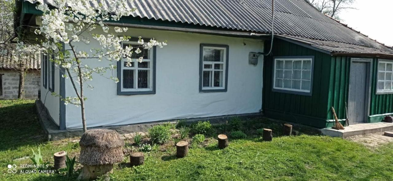 Медова Садиба Subbotiv Exterior foto