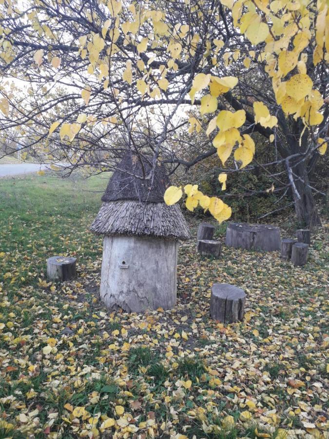 Медова Садиба Subbotiv Exterior foto