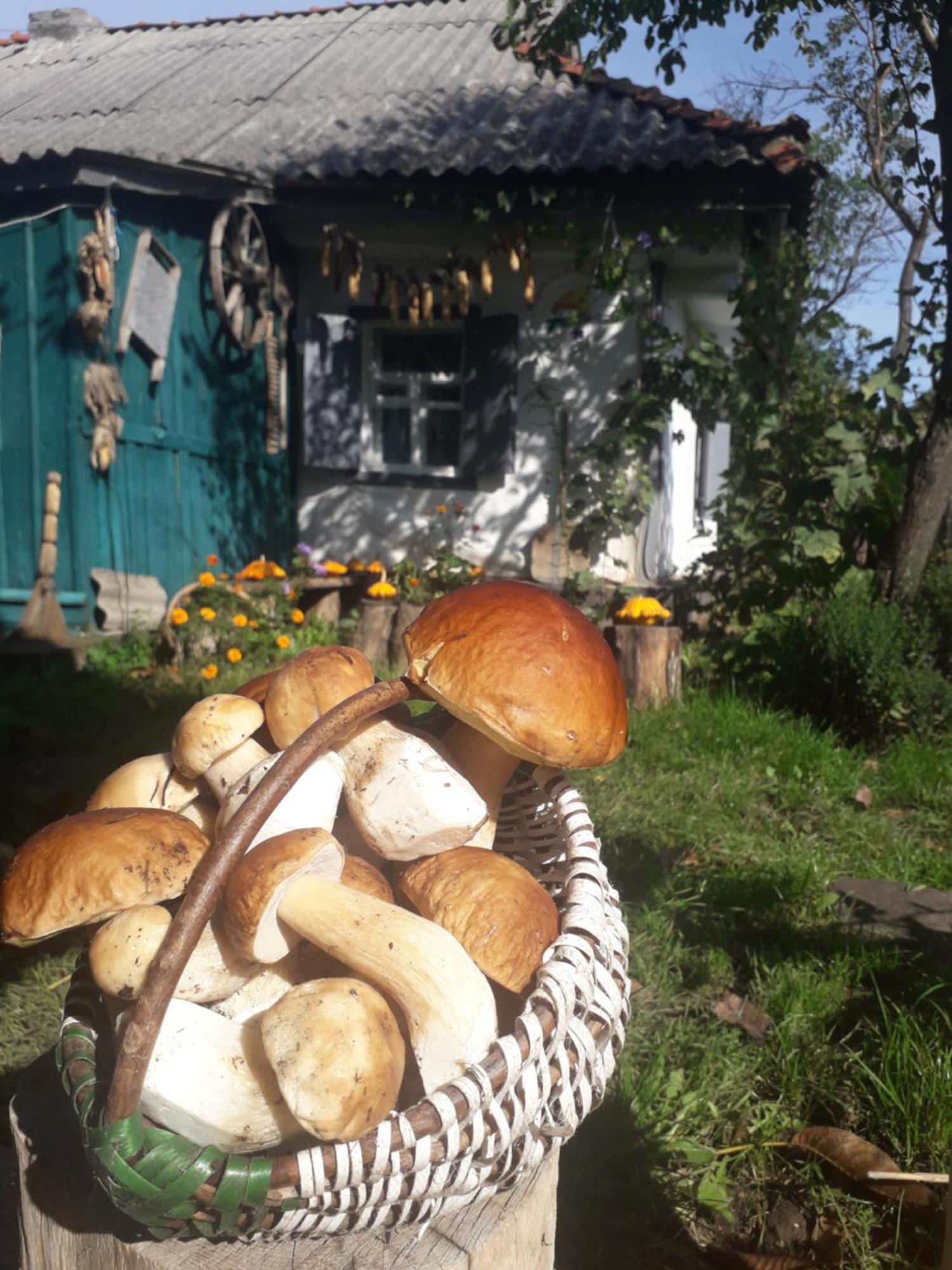 Медова Садиба Subbotiv Quarto foto